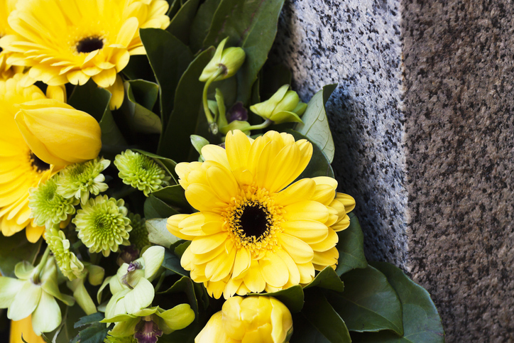 żółte kwiaty przy nagrobku